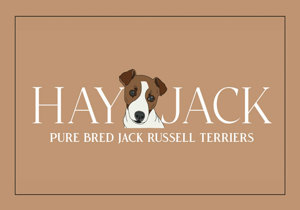 Breeder - Mrs Hayley Bonanno