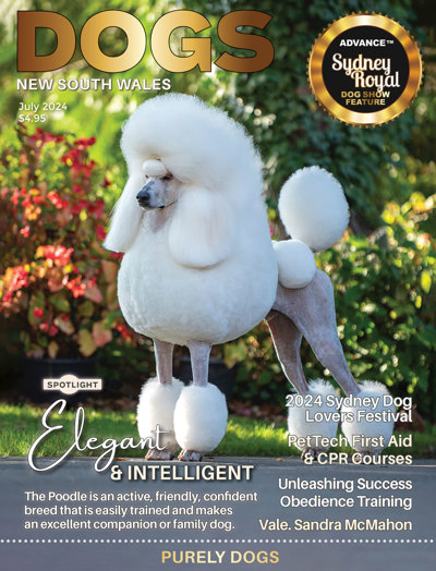 july-2024-magazine-cover